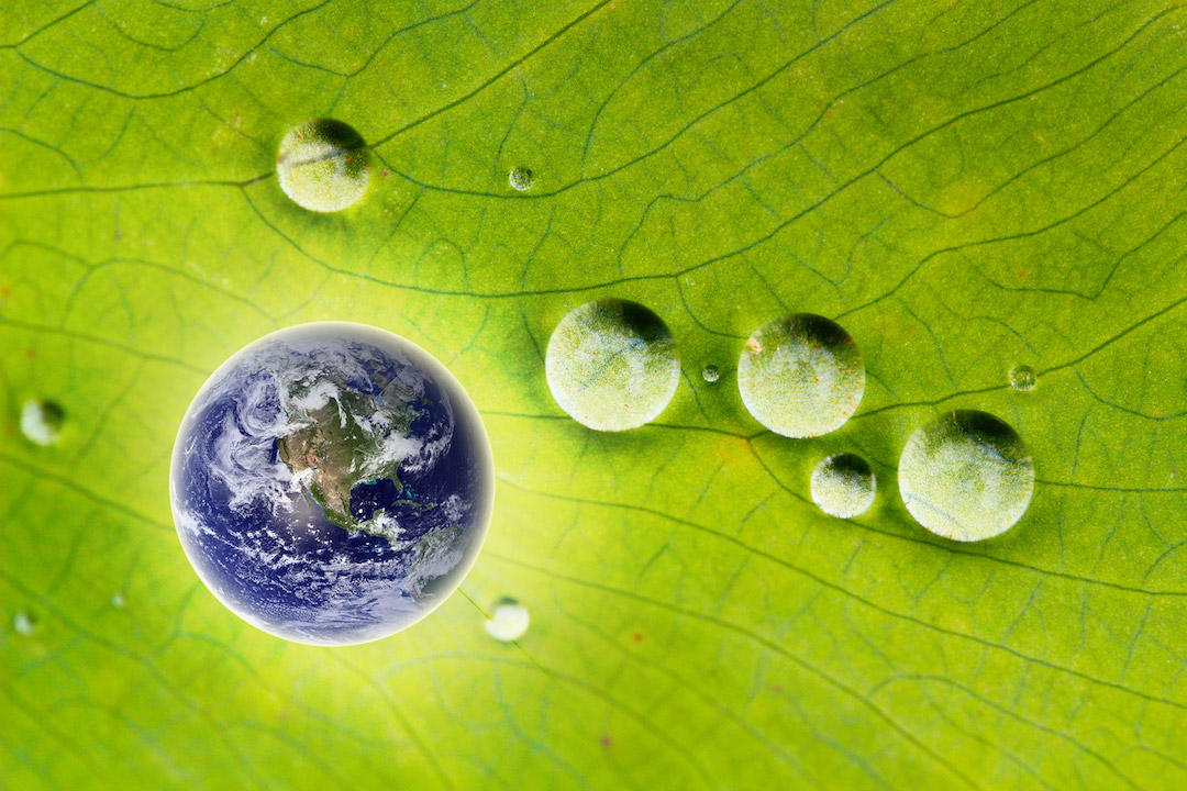 earth with water droplets on leaf
